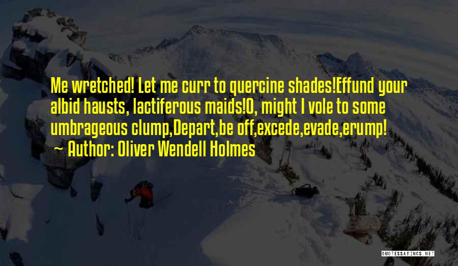 Let's Depart Quotes By Oliver Wendell Holmes