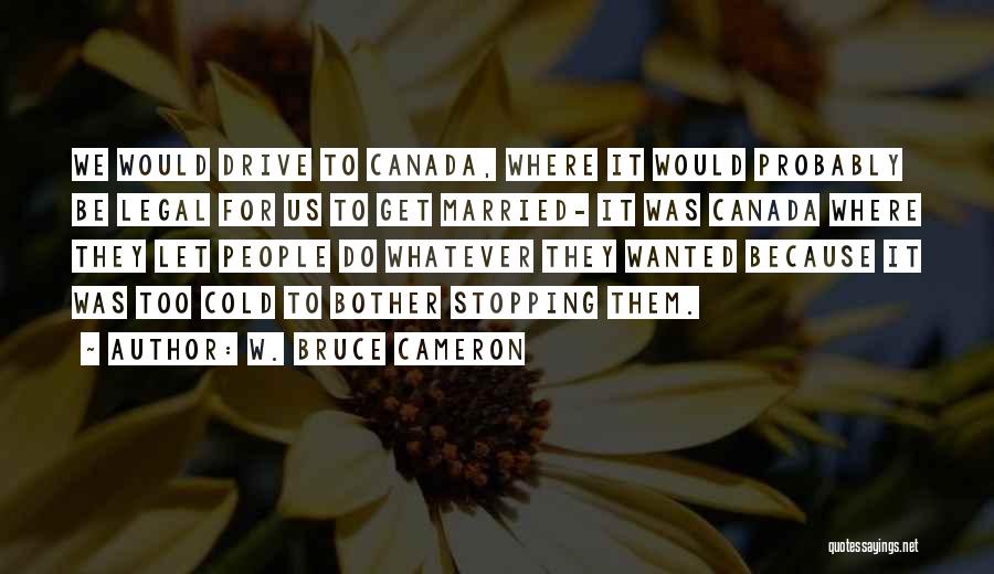 Let's Get Married Quotes By W. Bruce Cameron