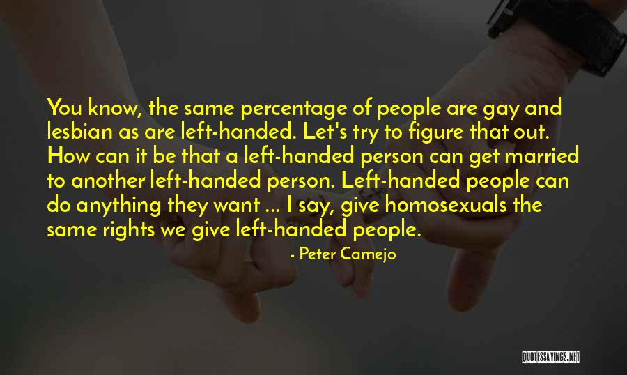 Let's Give It A Try Quotes By Peter Camejo Let's Give It A Try Quotes By Peter Camejo