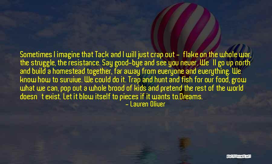 Let's Go Far Away Quotes By Lauren Oliver