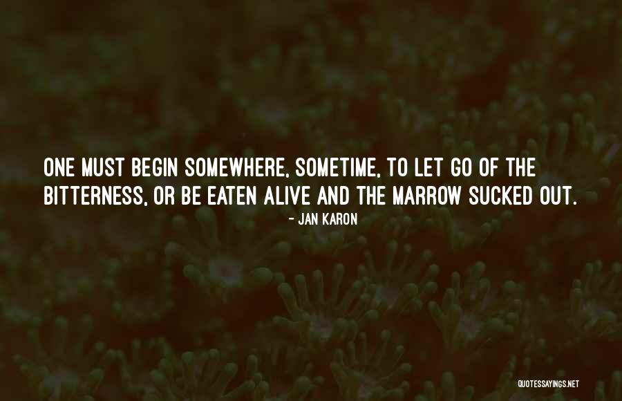 Let's Go Somewhere Quotes By Jan Karon