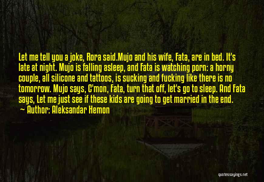 Let's Go To Bed Quotes By Aleksandar Hemon