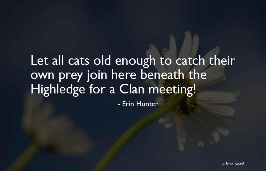 Let's Join Quotes By Erin Hunter Let's Join Quotes By Erin Hunter