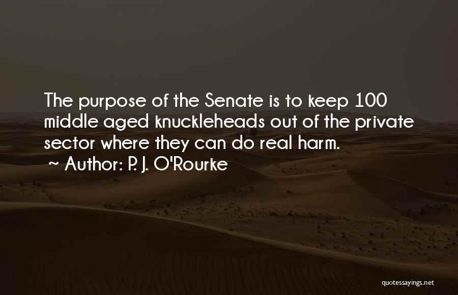 Let's Keep It 100 Quotes By P. J. O'Rourke