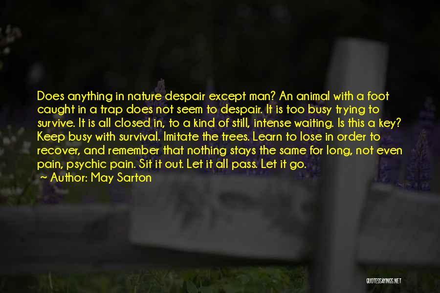 Let's Keep Trying Quotes By May Sarton