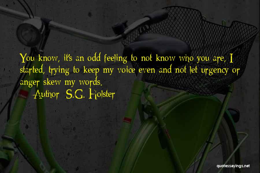 Let's Keep Trying Quotes By S.G. Holster