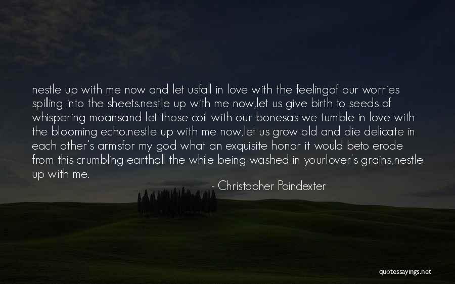 Let's Love Each Other Quotes By Christopher Poindexter