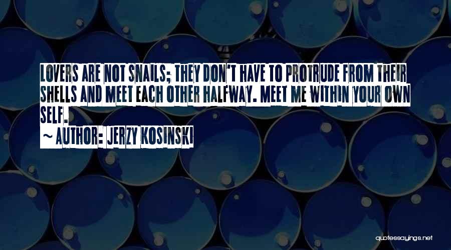 Let's Meet Halfway Quotes By Jerzy Kosinski