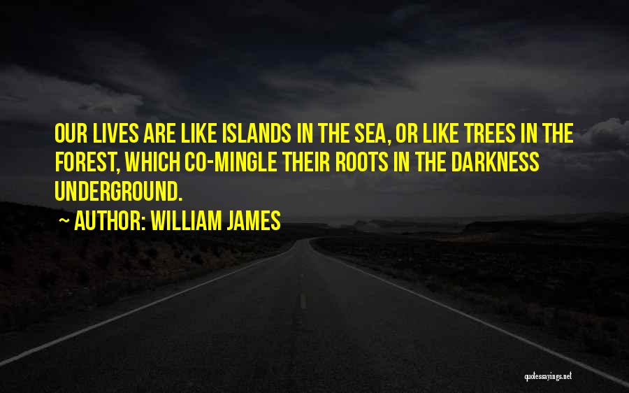 Let's Mingle Quotes By William James