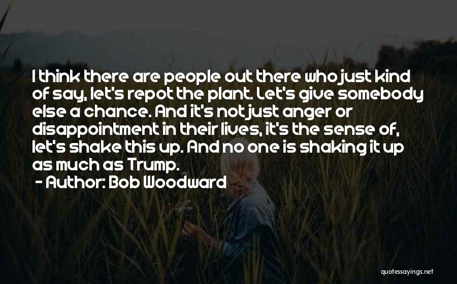 Let's Not Give Up Quotes By Bob Woodward