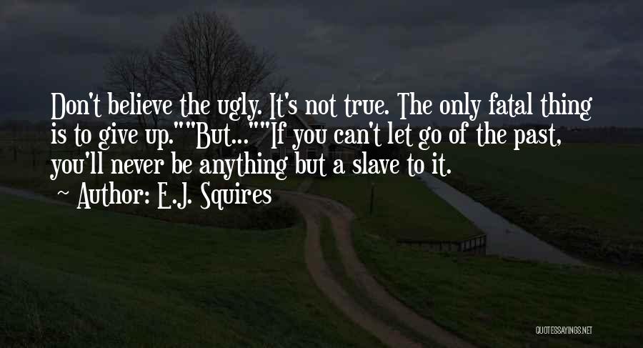 Let's Not Give Up Quotes By E.J. Squires