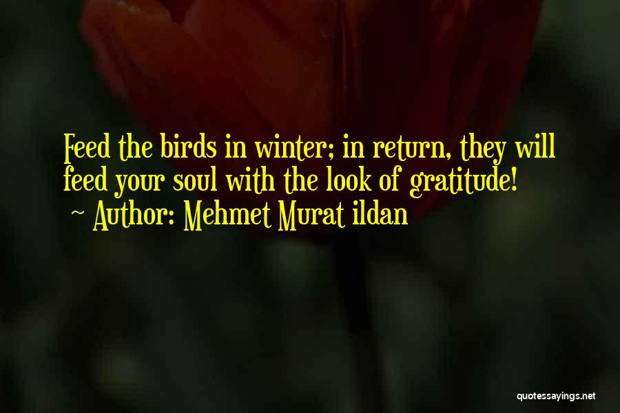 Lets Run Away Love Quotes By Mehmet Murat Ildan