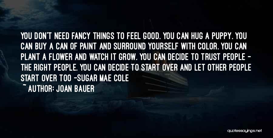 Let's Start Over Quotes By Joan Bauer