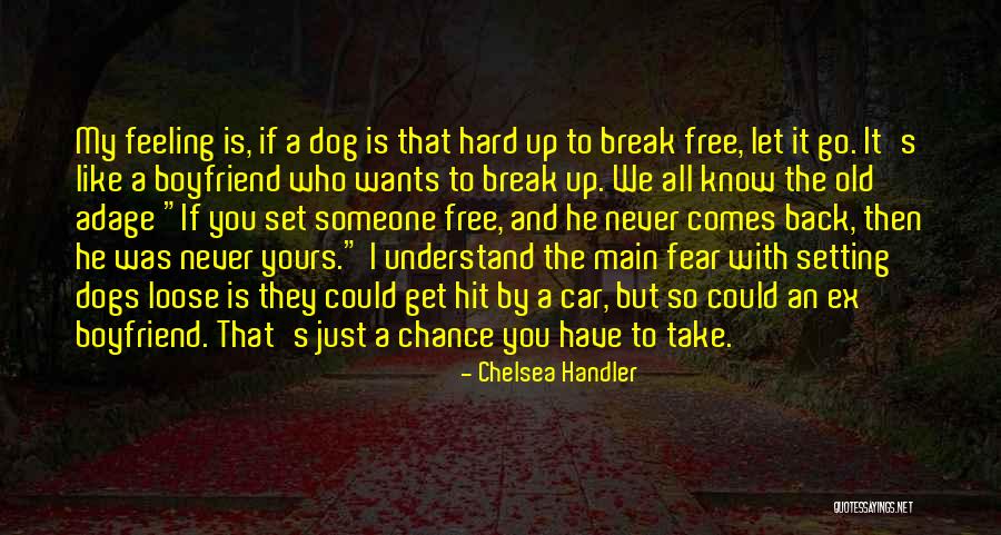 Let's Take A Chance Quotes By Chelsea Handler Let's Take A Chance Quotes By Chelsea Handler