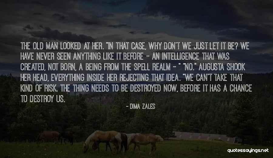 Let's Take A Chance Quotes By Dima Zales Let's Take A Chance Quotes By Dima Zales