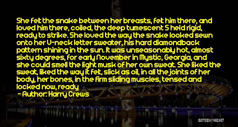 Letter S Quotes By Harry Crews