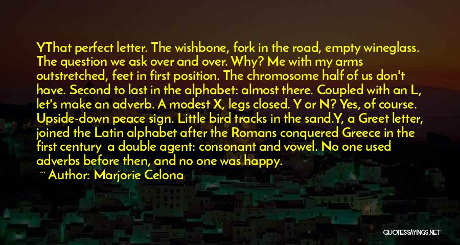 Letter S Quotes By Marjorie Celona