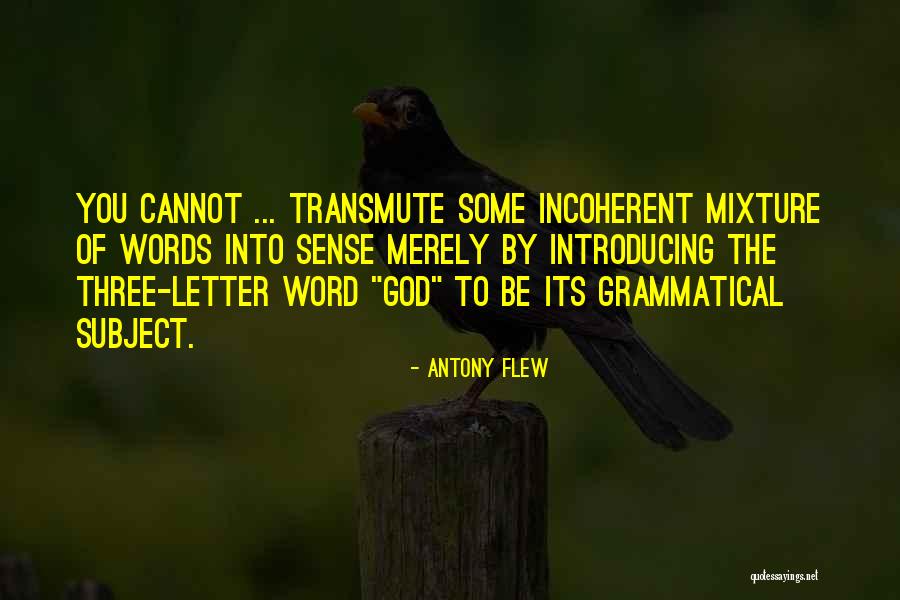 Letter To God Quotes By Antony Flew