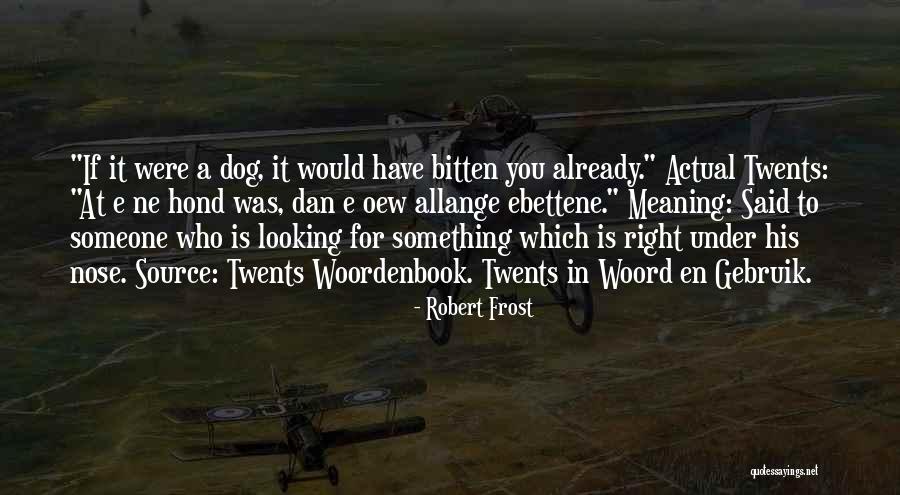 Letterjungle Quotes By Robert Frost Letterjungle Quotes By Robert Frost