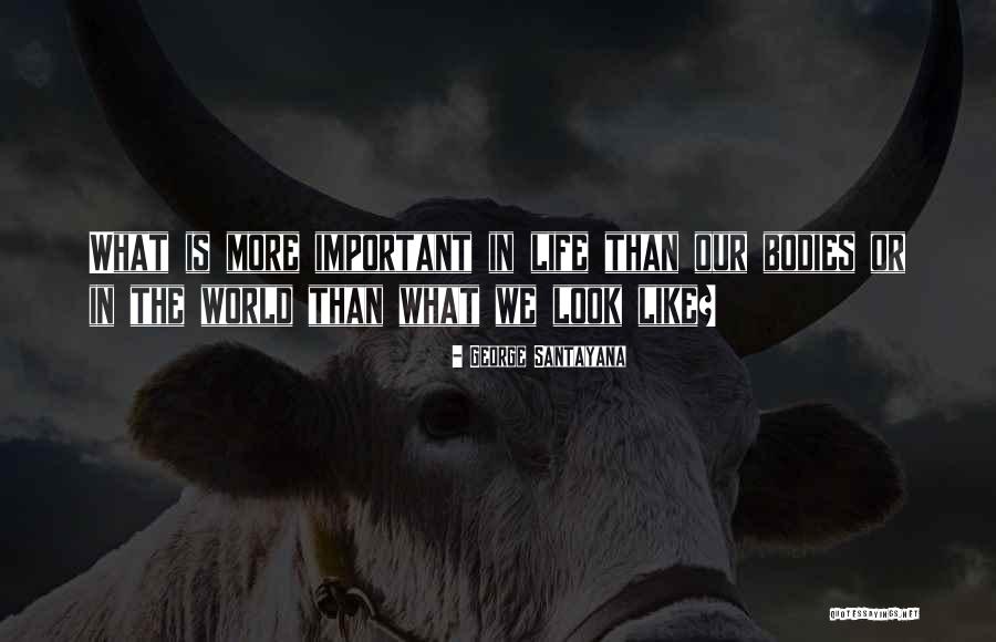 Lettermans Kutztown Quotes By George Santayana Lettermans Kutztown Quotes By George Santayana