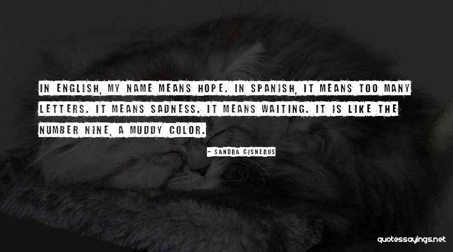 Letters In A Name Quotes By Sandra Cisneros Letters In A Name Quotes By Sandra Cisneros