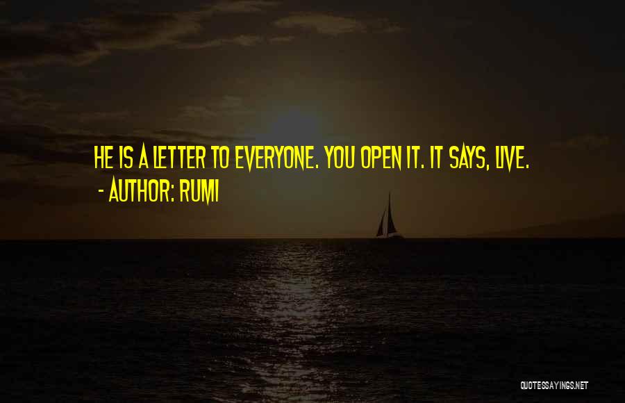 Letters To You Quotes By Rumi