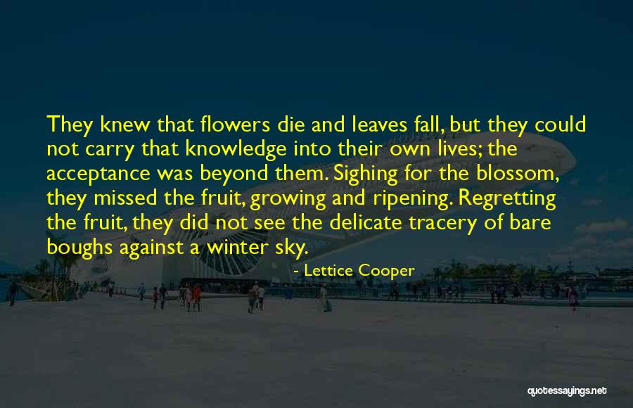 Lettice Cooper Quotes 441636 Lettice Cooper Quotes 441636