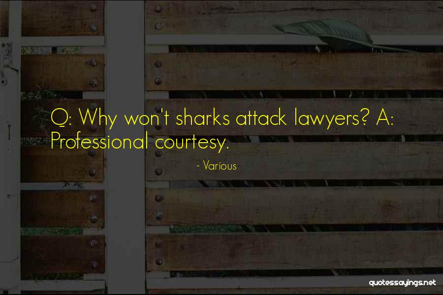 Lettieri And Co Quotes By Various Lettieri And Co Quotes By Various