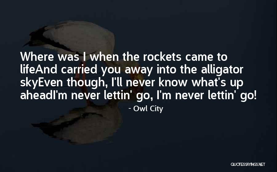 Lettin Quotes By Owl City Lettin Quotes By Owl City