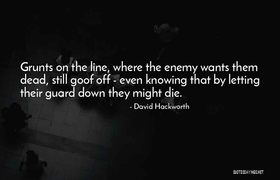 Letting Down Your Guard Quotes By David Hackworth