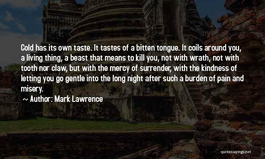 Letting Go After So Long Quotes By Mark Lawrence