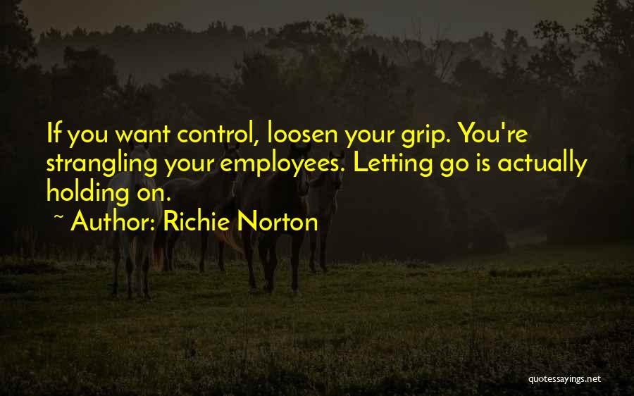 Letting Go Control Quotes By Richie Norton