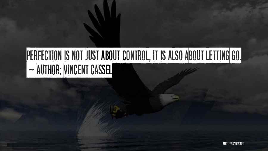 Letting Go Control Quotes By Vincent Cassel