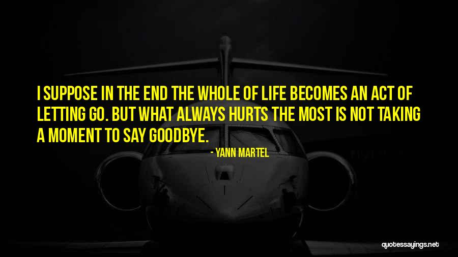 Letting Go Even If It Hurts Quotes By Yann Martel