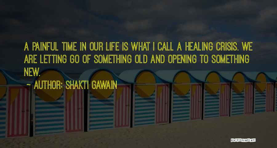 Letting Go Of A Painful Past Quotes By Shakti Gawain