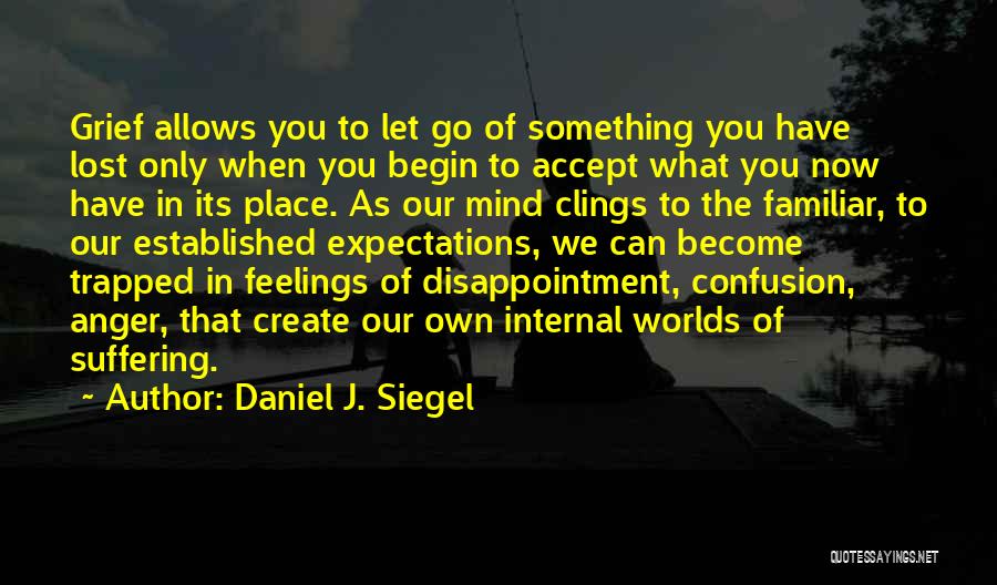 Letting Go Of Anger Quotes By Daniel J. Siegel