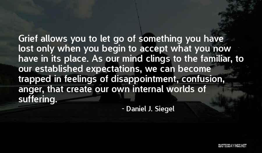 Letting Go Of Expectations Quotes By Daniel J. Siegel