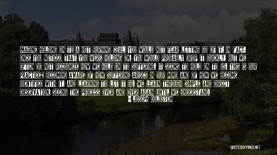 Letting Go Of Fear Quotes By Joseph Goldstein