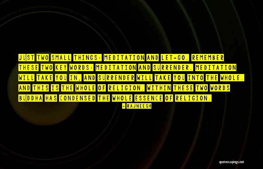 Letting Go Of Things Quotes By Rajneesh Letting Go Of Things Quotes By Rajneesh