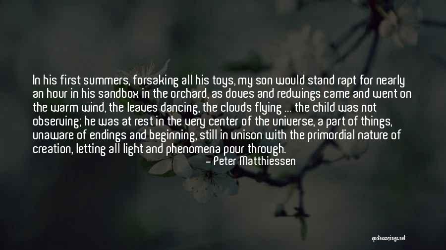 Letting Go Of Your Child Quotes By Peter Matthiessen Letting Go Of Your Child Quotes By Peter Matthiessen