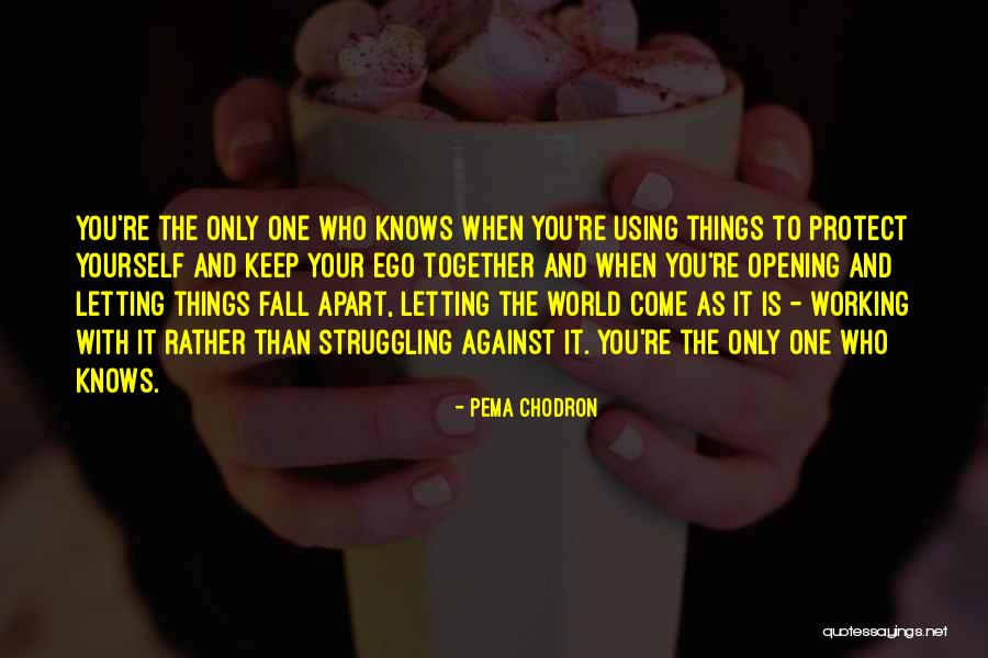 Letting Go Pema Chodron Quotes By Pema Chodron Letting Go Pema Chodron Quotes By Pema Chodron