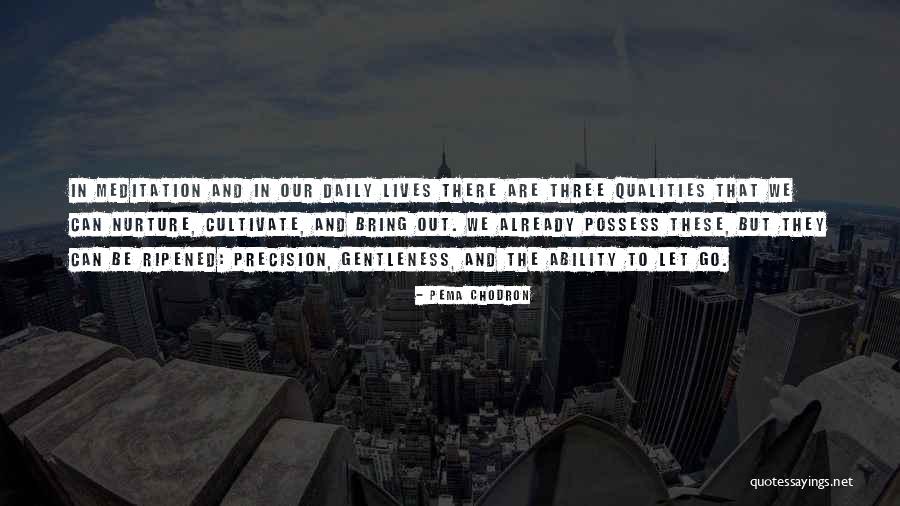 Letting Go Pema Chodron Quotes By Pema Chodron Letting Go Pema Chodron Quotes By Pema Chodron