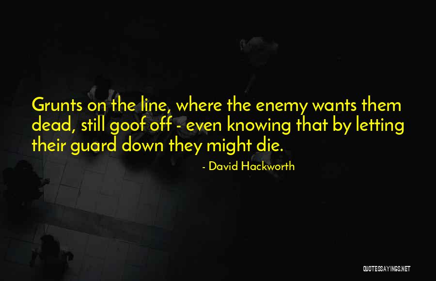 Letting Guard Down Quotes By David Hackworth