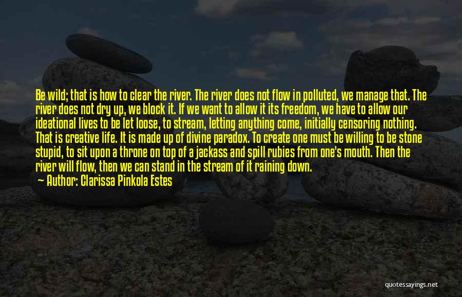 Letting Life Flow Quotes By Clarissa Pinkola Estes