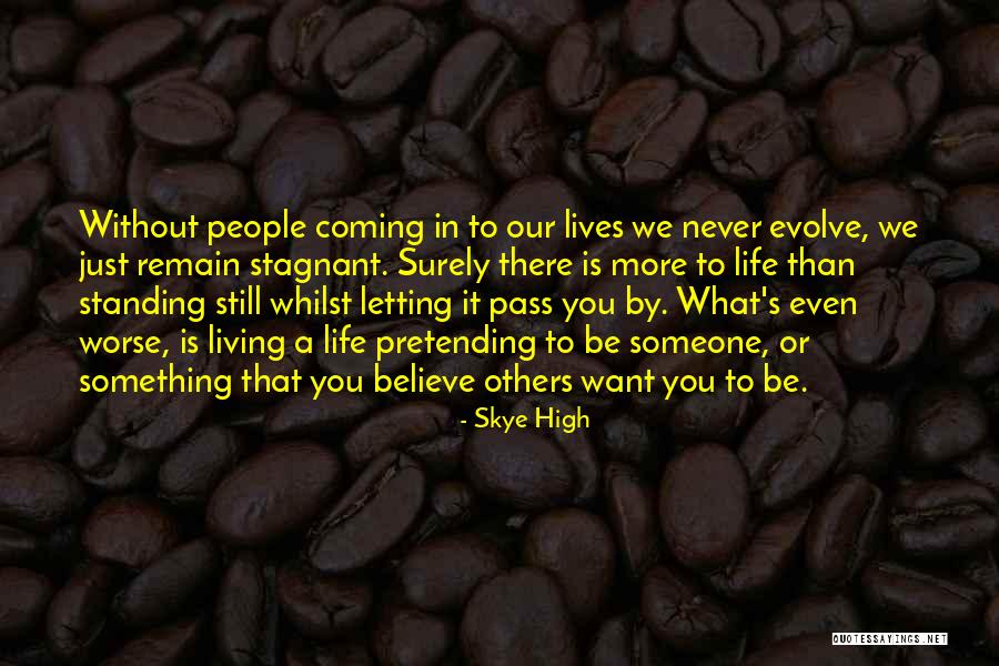 Letting Life Pass You By Quotes By Skye High