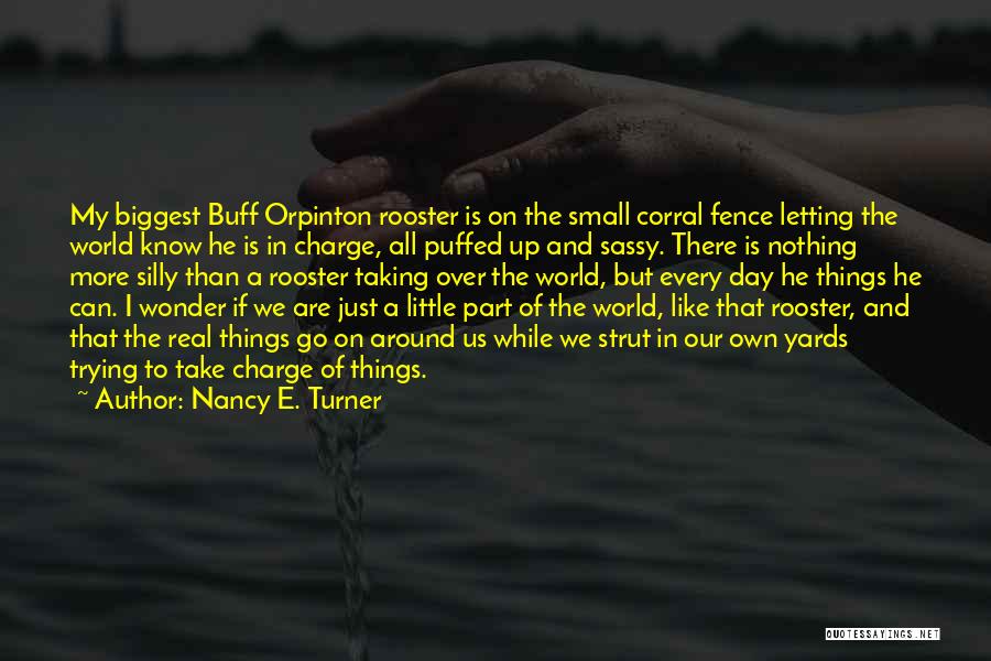 Letting Little Things Go Quotes By Nancy E. Turner