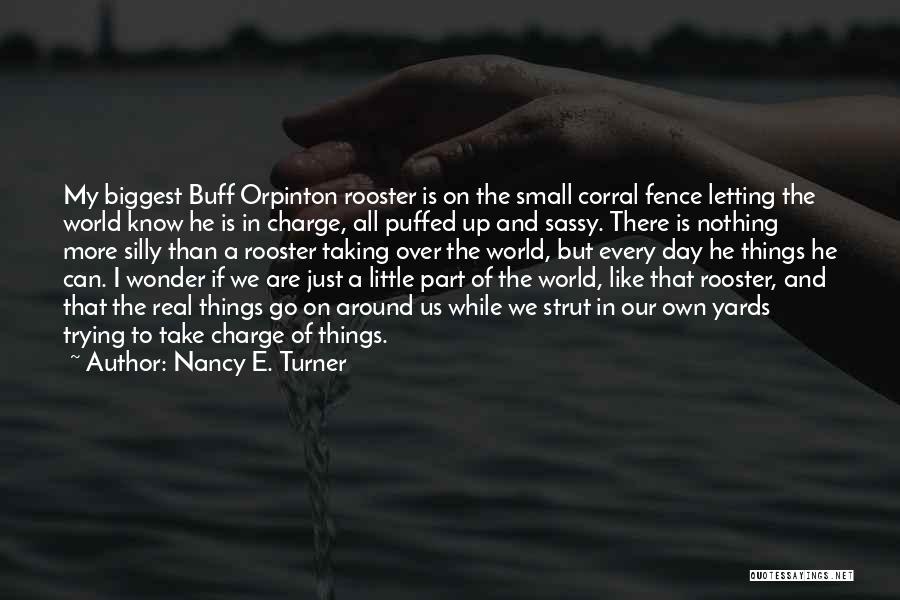 Letting Small Things Go Quotes By Nancy E. Turner