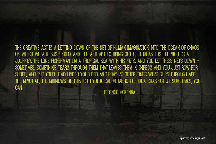 Letting Someone Bring You Down Quotes By Terence McKenna