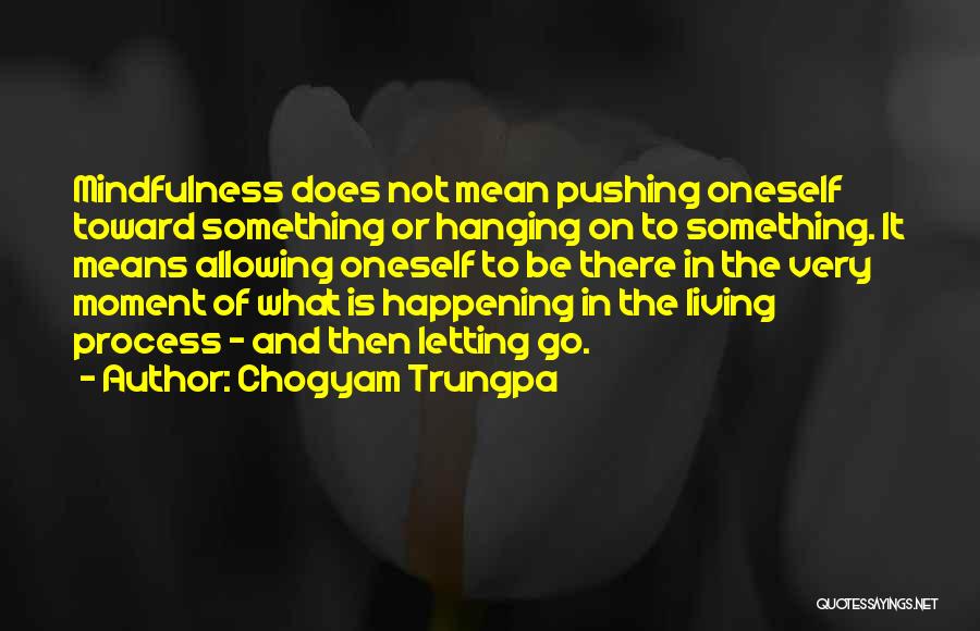 Letting Something Go Quotes By Chogyam Trungpa