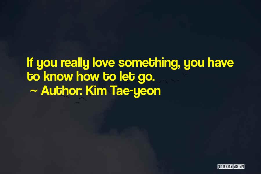 Letting Something Go Quotes By Kim Tae-yeon